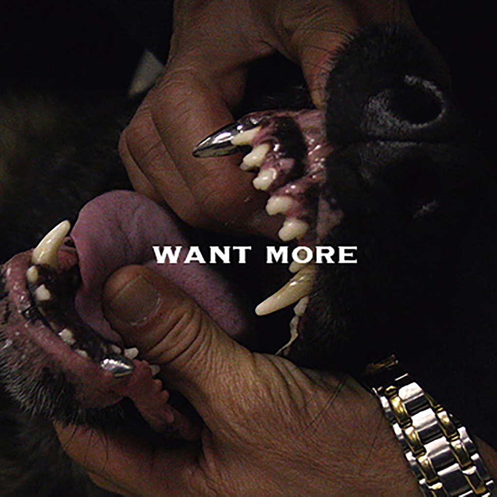 Shygirl — Want More cover artwork