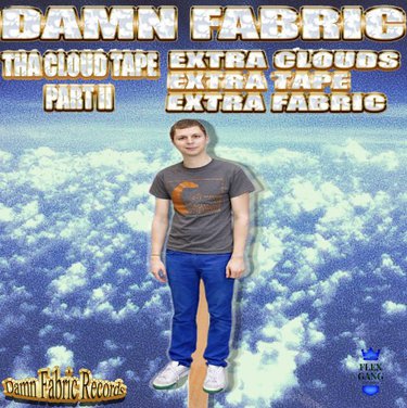 Damn Fabric — cheesecake cover artwork