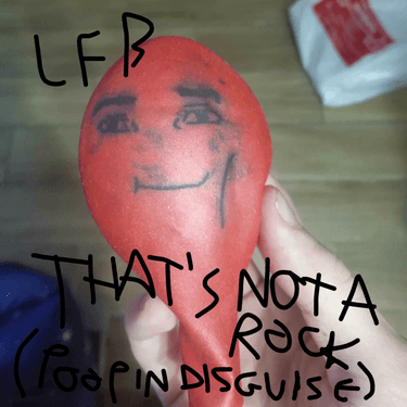 Lil Fucking Bitch — That&#039;s Not A Rock (Poop In Disguise) cover artwork