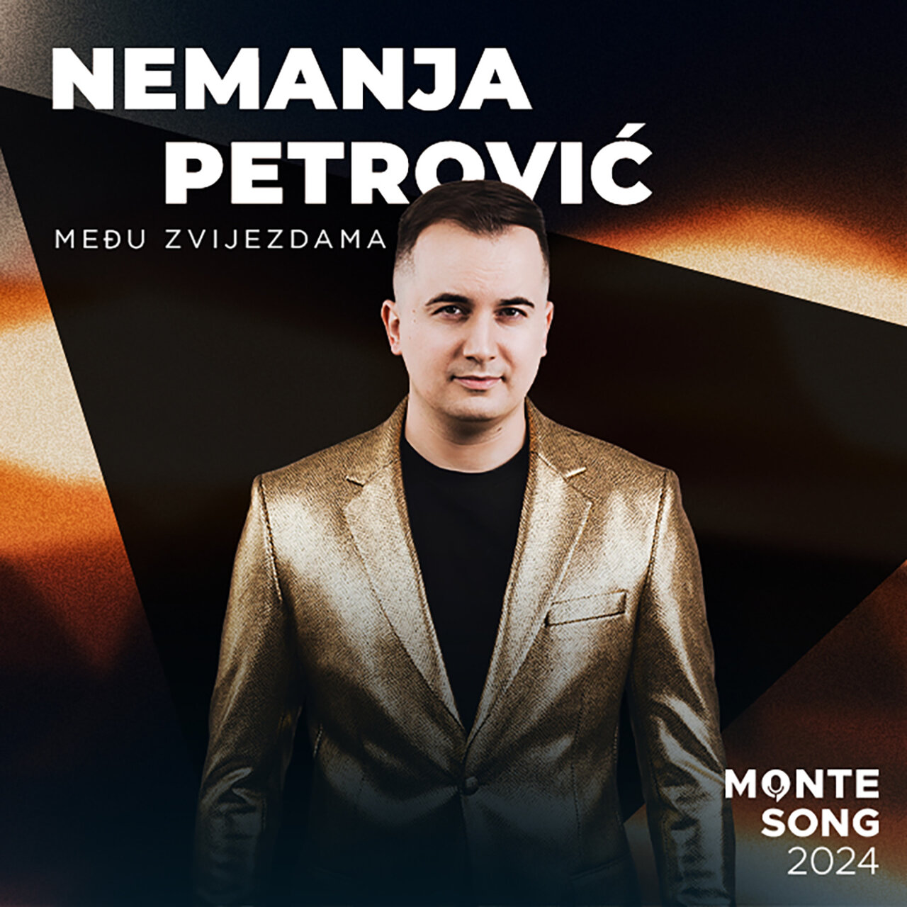 Nemanja Petrović — Među zvijezdama cover artwork