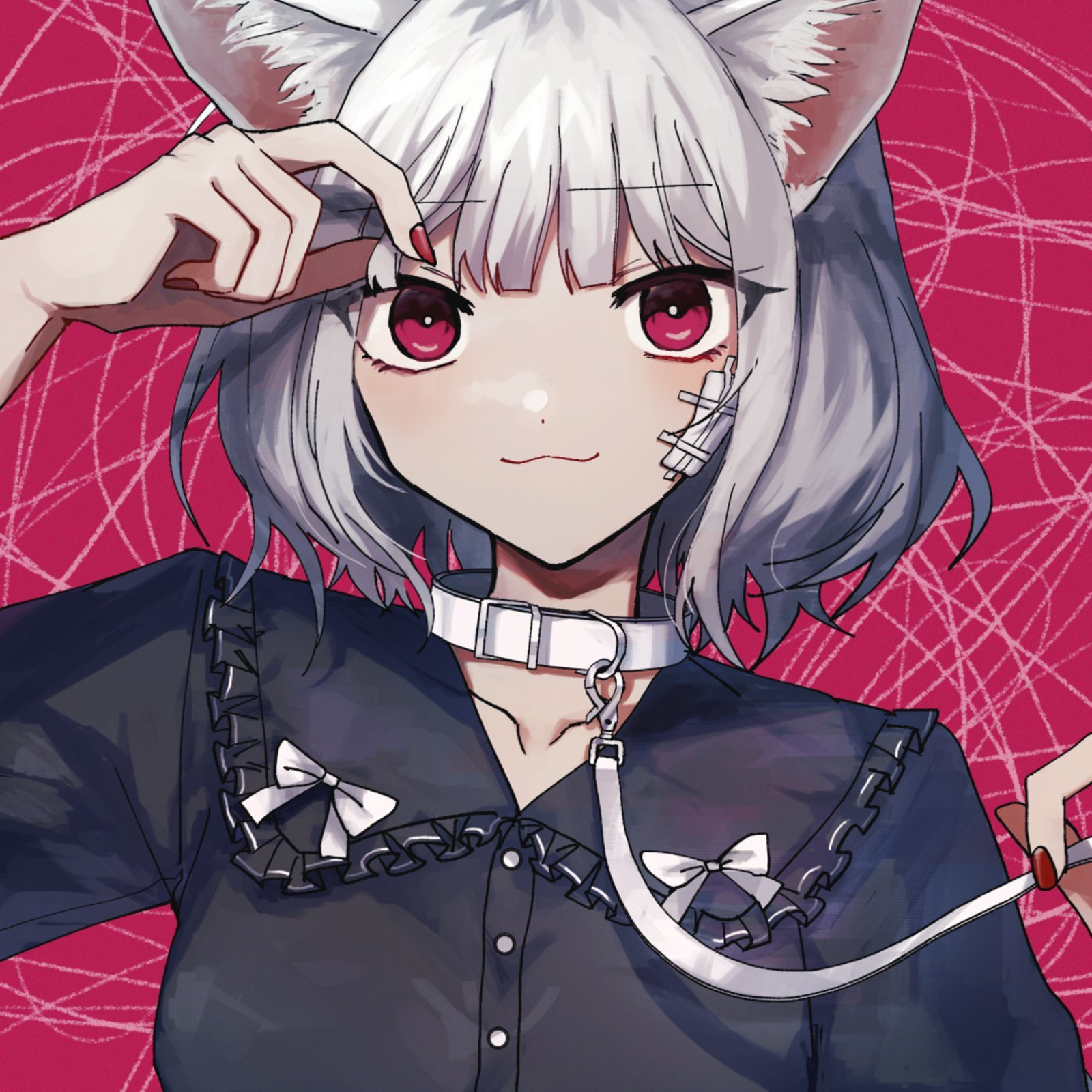 Kashii Moimi — Cat Loving cover artwork
