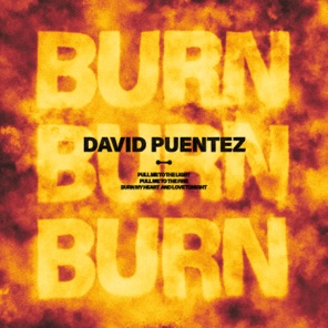 David Puentez — Burn cover artwork