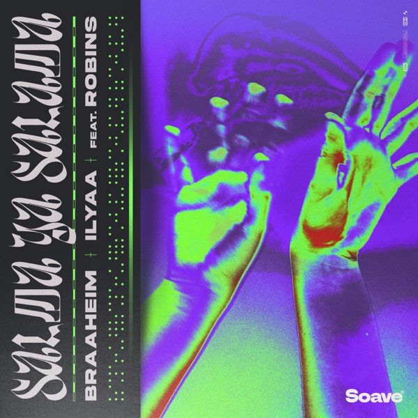 Braaheim & ILYAA featuring Robins — Salma Ya Salama cover artwork