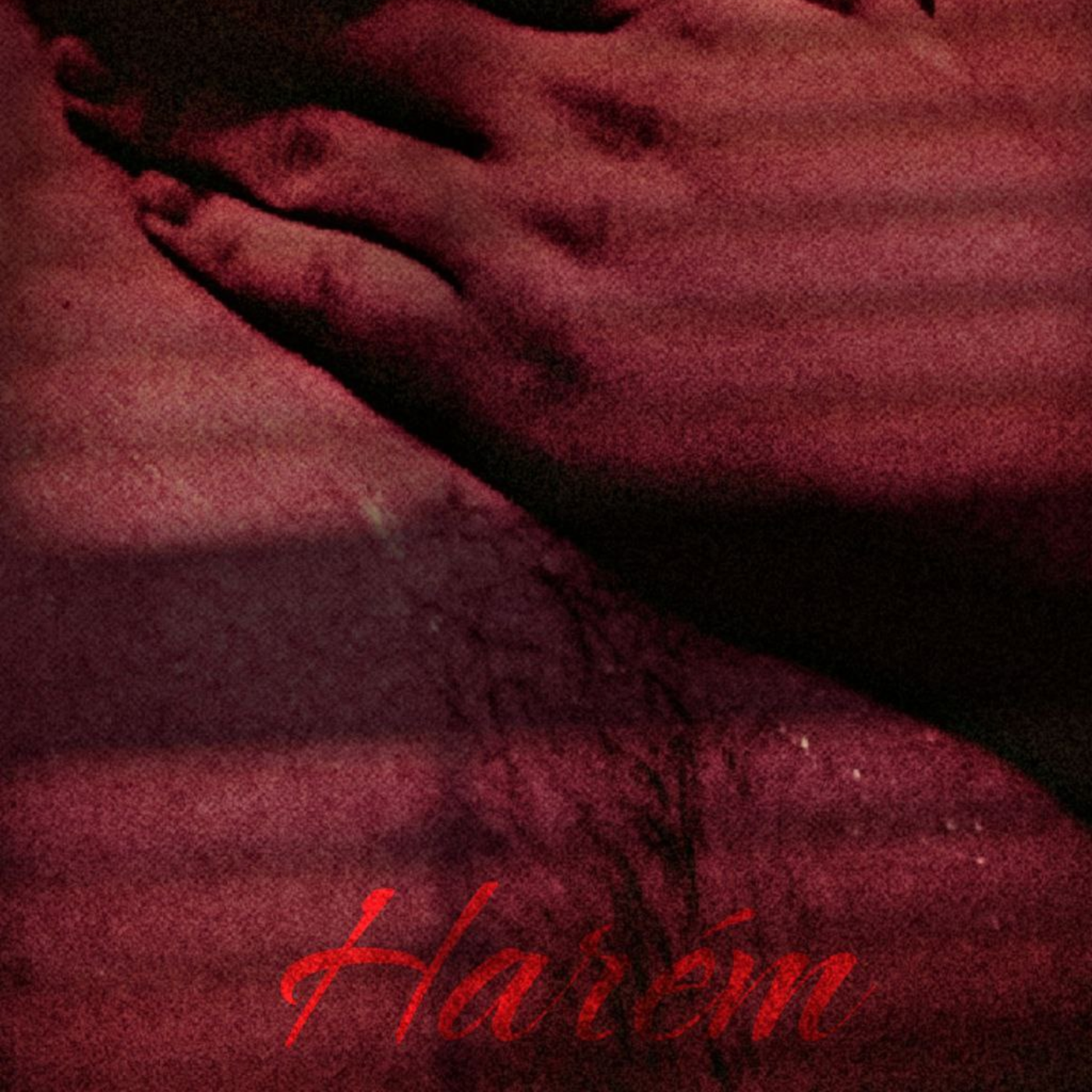 RAFOLA Harém cover artwork
