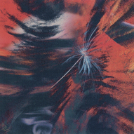 MACE, centomilacarie, & Salmo — NON MI RICONOSCO ≠ cover artwork