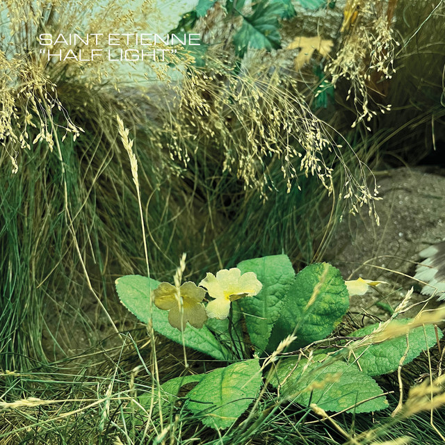 Saint Etienne — Half Light cover artwork