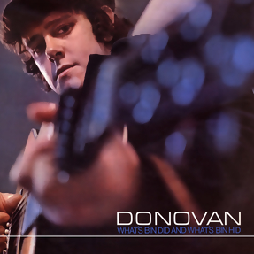 Donovan What's Bin Did and What's Bin Hid cover artwork