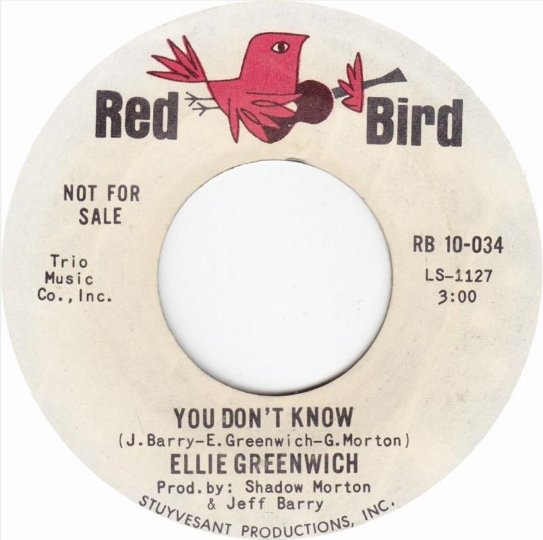 Ellie Greenwich — You Don&#039;t Know cover artwork