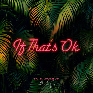 Bo Napoleon — If That&#039;s Ok cover artwork