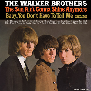 The Walker Brothers The Sun Ain't Gonna Shine Anymore cover artwork