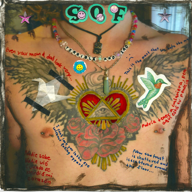 Skin On Flesh — Terrible And Sad cover artwork