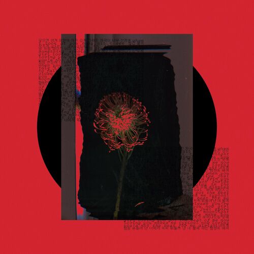 Woosung — Dimples cover artwork