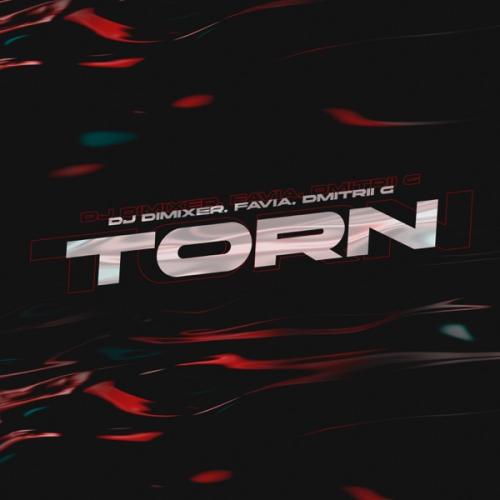 DJ DimixeR & FAVIA featuring Dmitrii G — Torn cover artwork