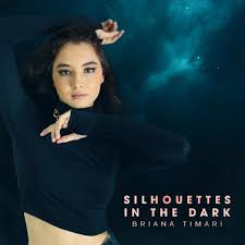 Briana Timari — Silhouettes In The Dark cover artwork