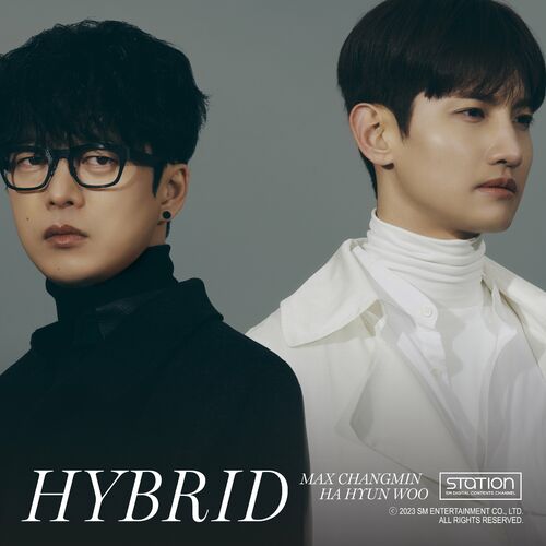 MAX CHANGMIN featuring Ha Hyun Woo — HYBRID cover artwork