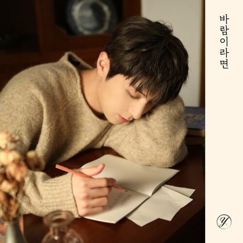 Y from Golden Child — If I Were The Wind cover artwork
