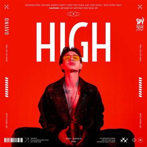 GAVIN:D — High cover artwork