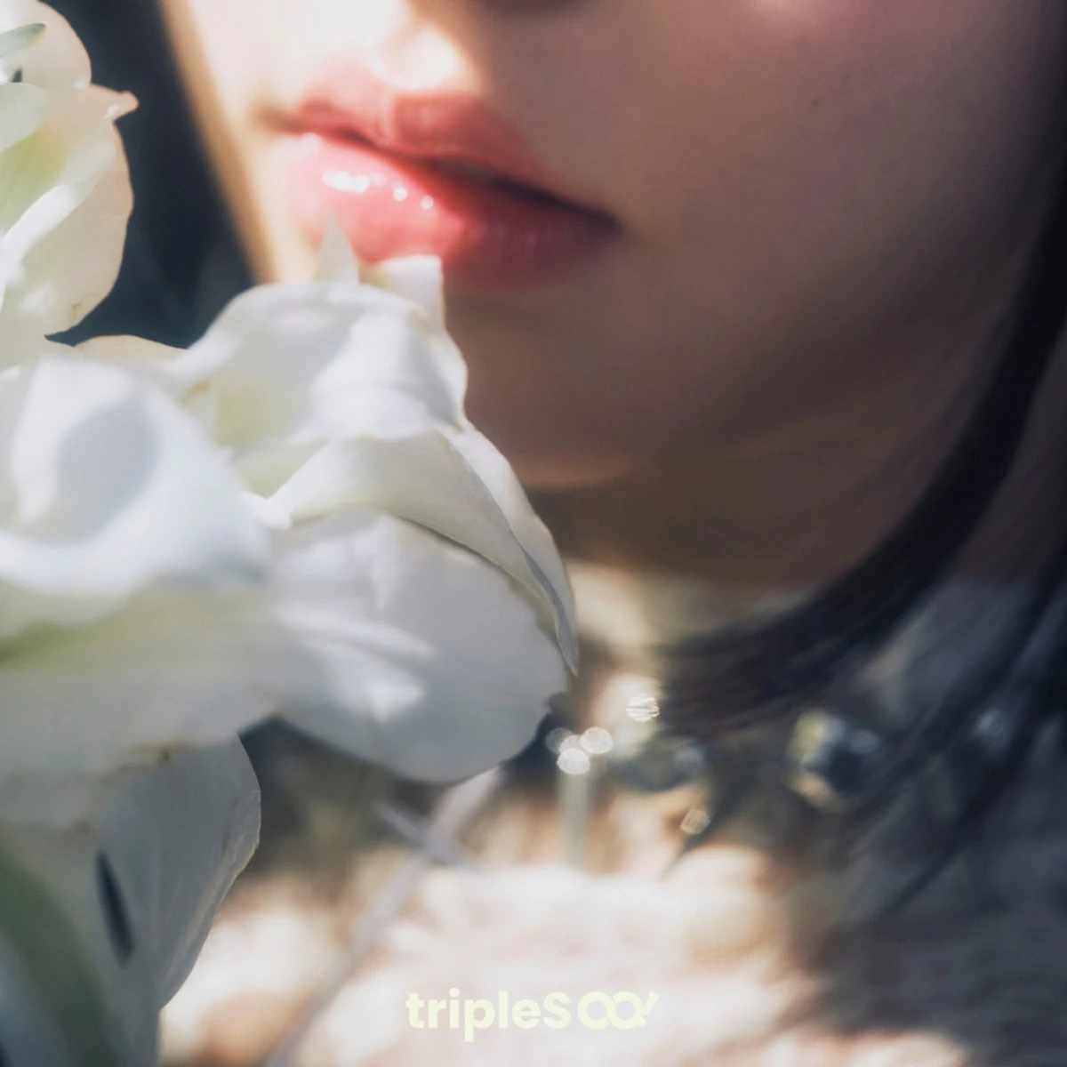 tripleS — Untitled cover artwork