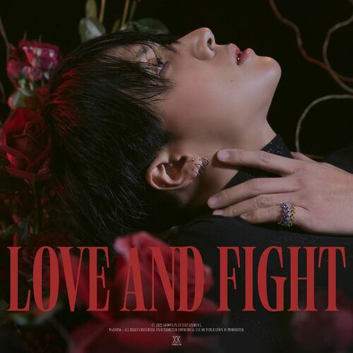 Ravi LOVE AND FIGHT cover artwork