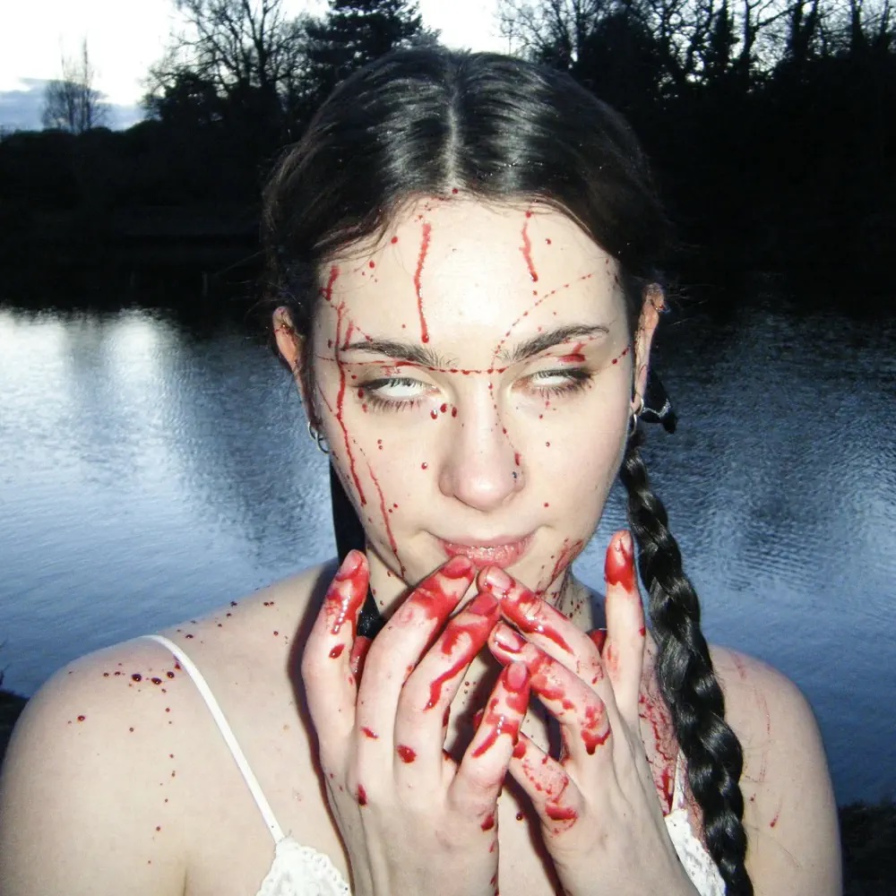 Shefu — Do you want my number? cover artwork