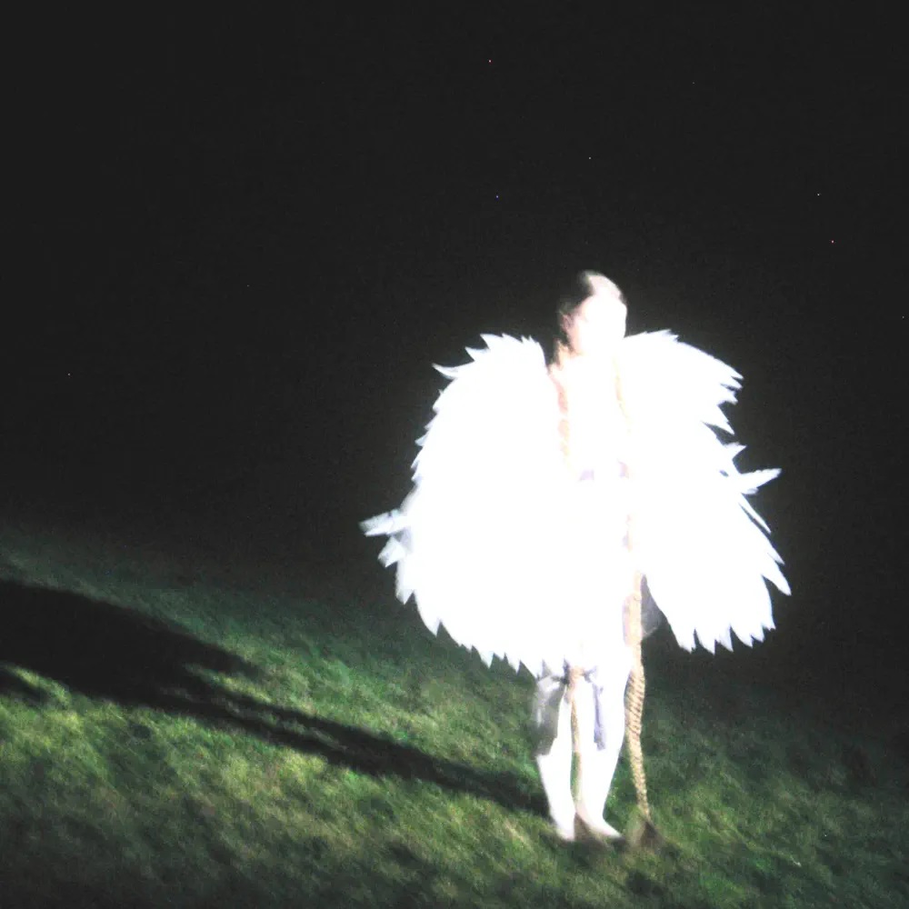 Linnea Awad — Withered lights cover artwork