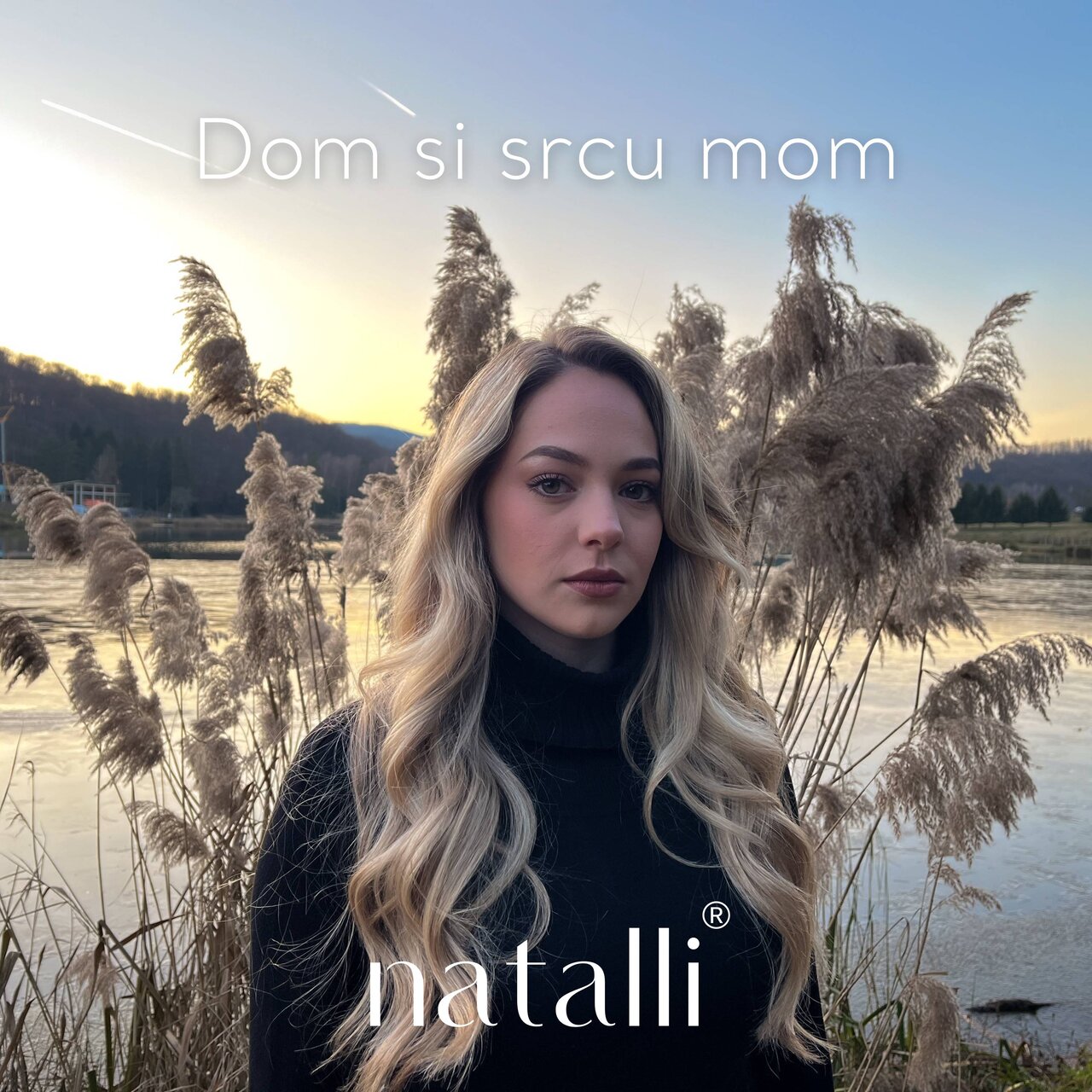 Natalli — Dom si srcu mom cover artwork