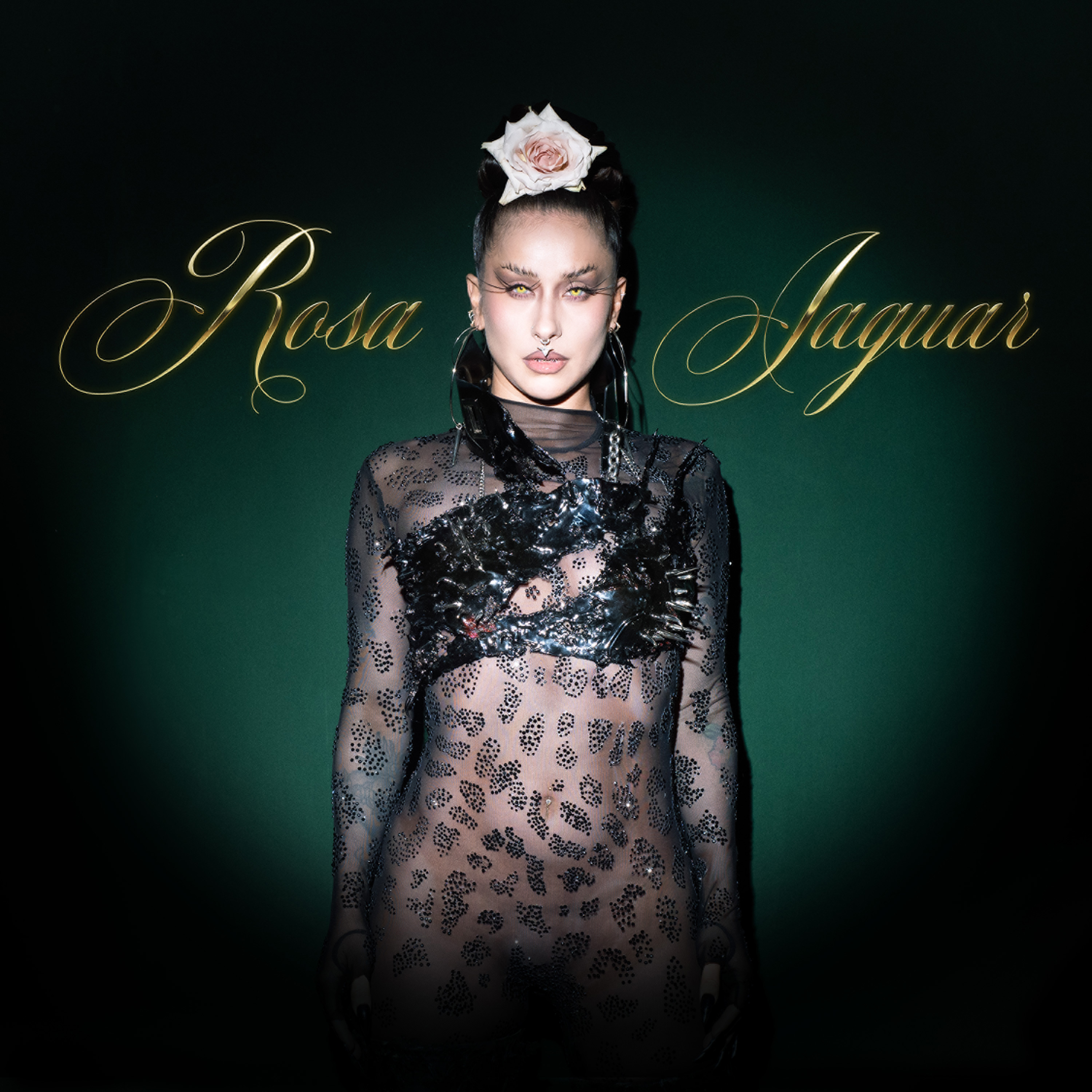 Denise Rosenthal — Rosa Jaguar cover artwork