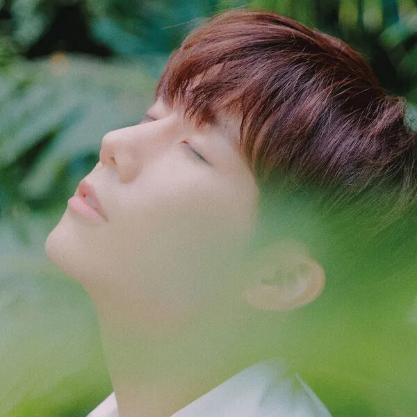Kim Sung Kyu — Savior cover artwork