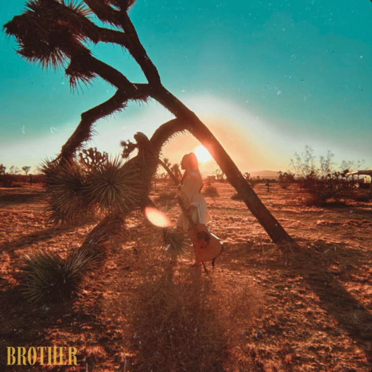 Shawnee Kish — Brother cover artwork