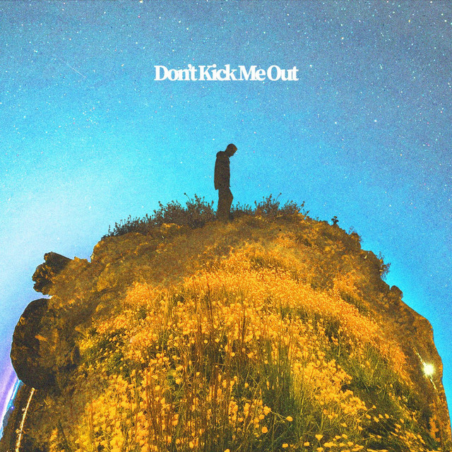 For You — Don&#039;t Kick Me Out cover artwork