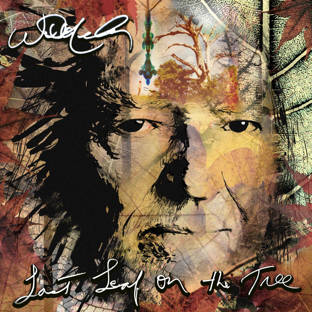 Willie Nelson Last Leaf On The Tree cover artwork