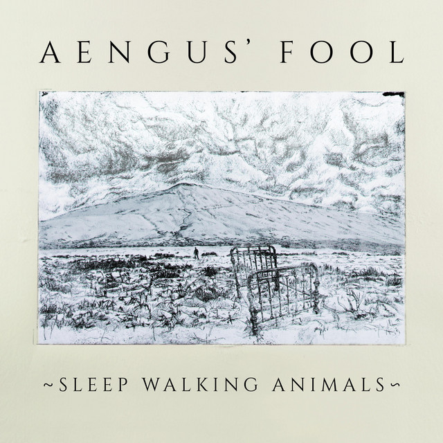Sleep Walking Animals — Aengus&#039; Fool cover artwork