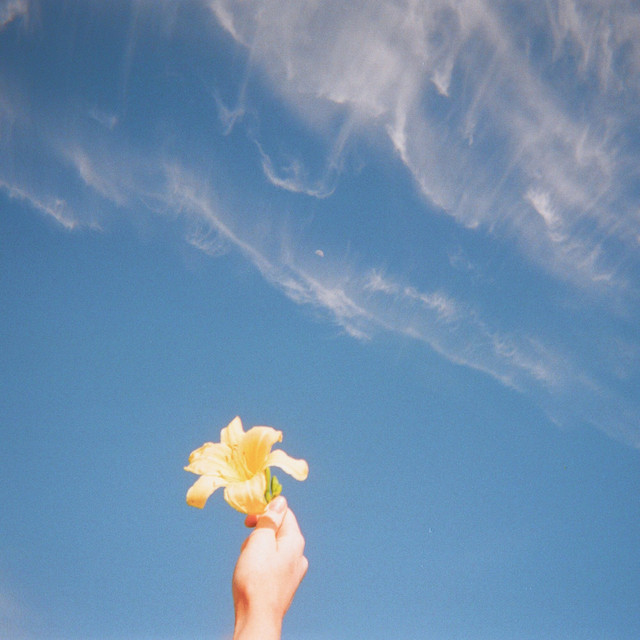 Fiji Blue — I Should&#039;ve Told You cover artwork