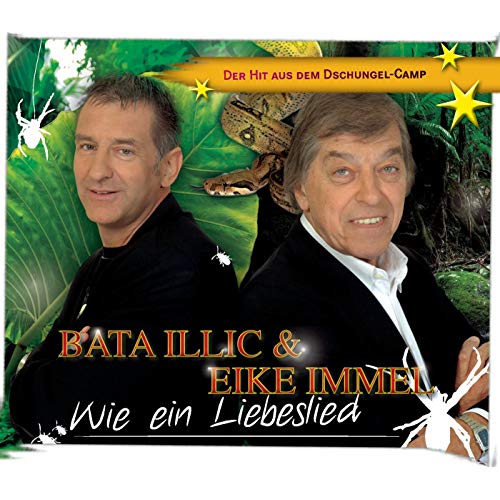 Bata Illic & Eike Immel — Wie ein Liebeslied cover artwork