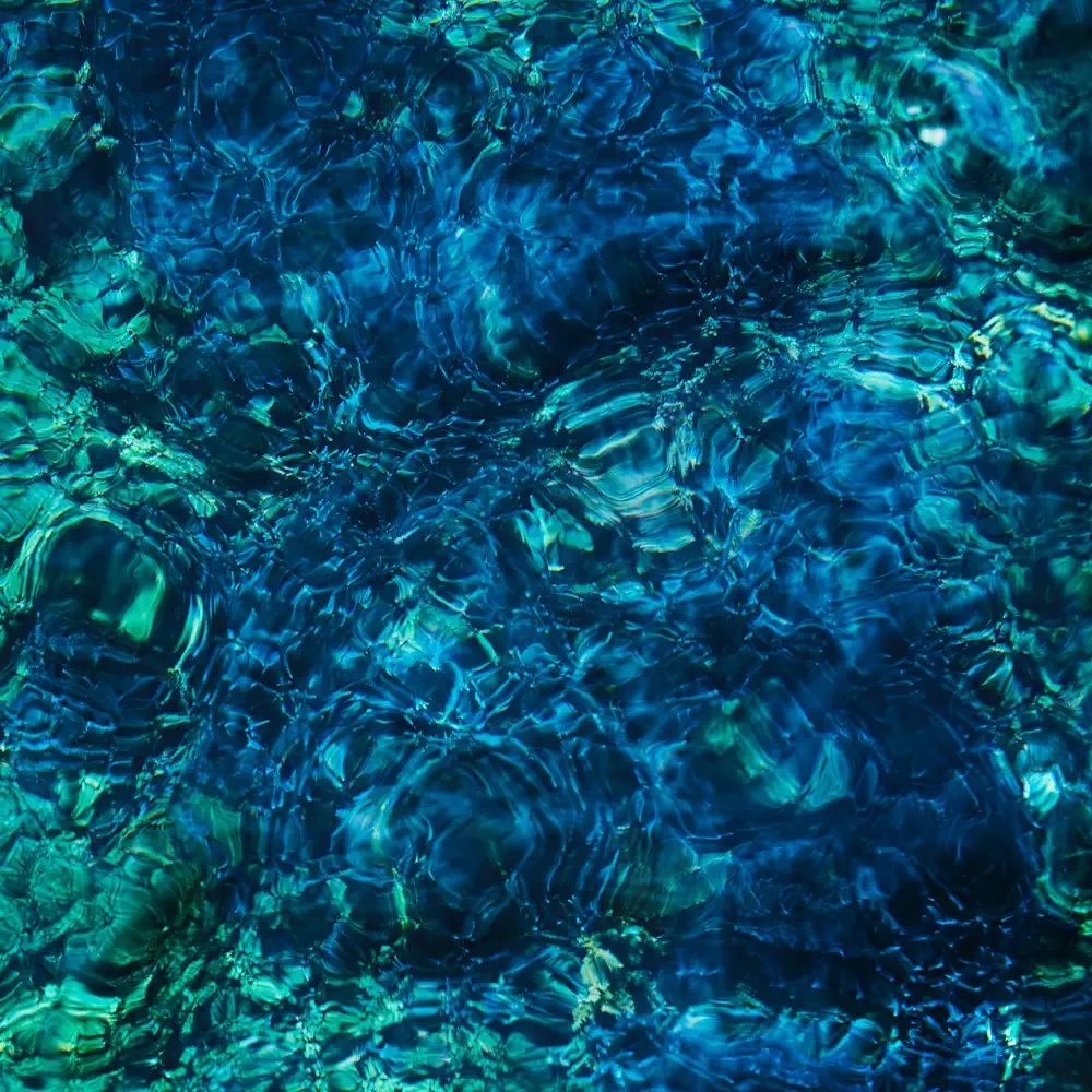 Ichiko Aoba Luminescent Creatures cover artwork