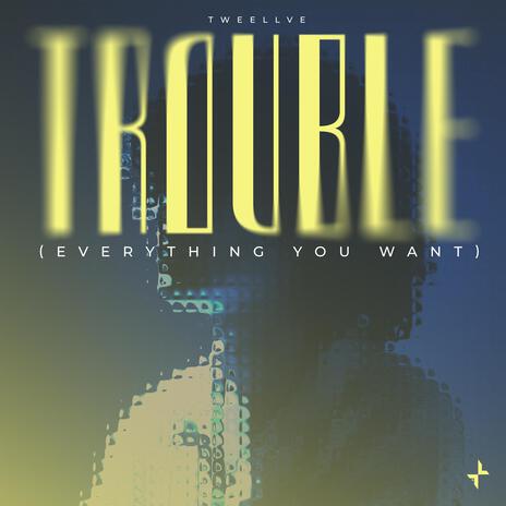 Tweellve — Trouble (Everything You Want) cover artwork