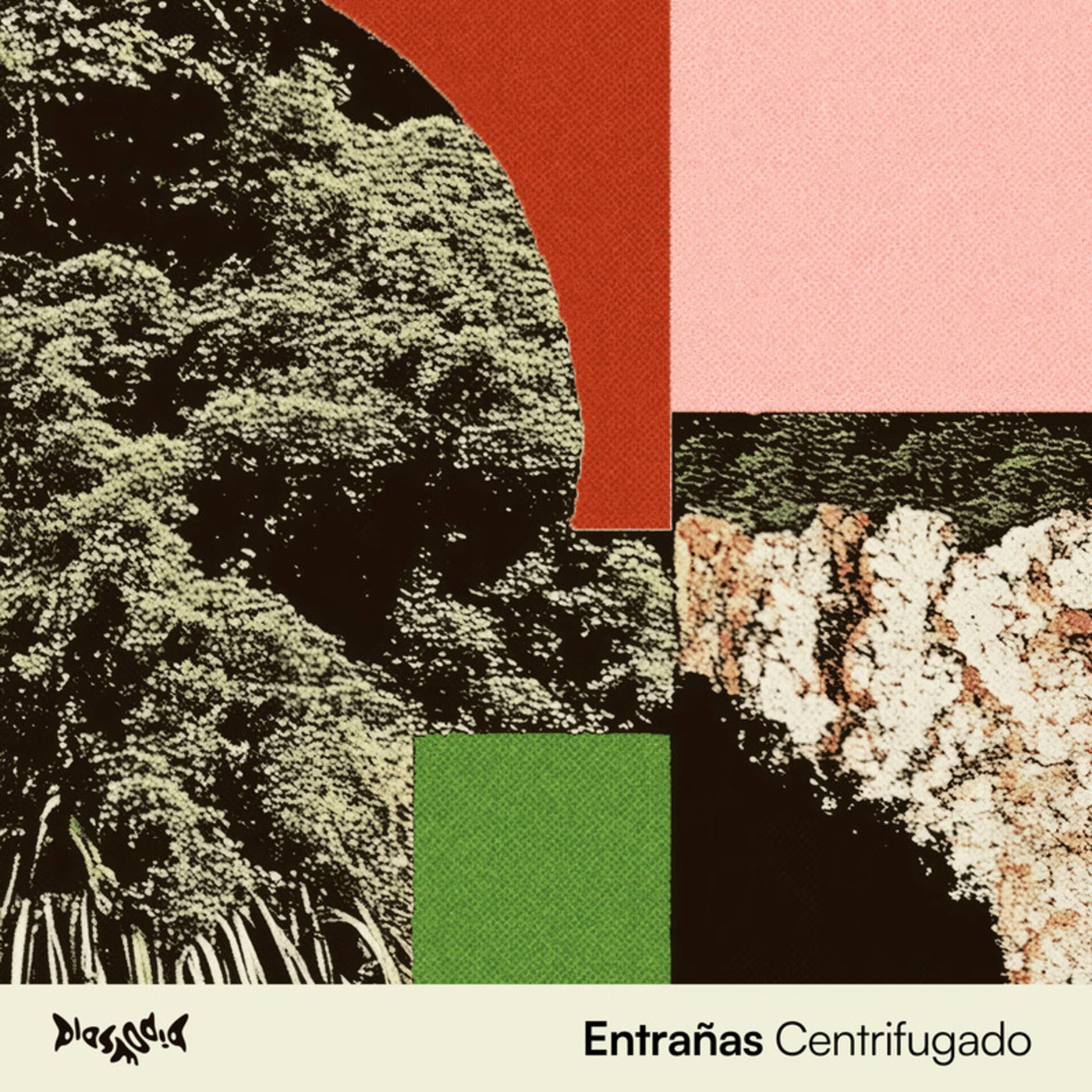 Entrañas — Centrifugado cover artwork