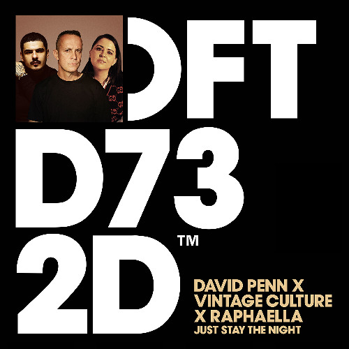 David Penn, Vintage Culture, & Raphaella — Just Stay The Night cover artwork