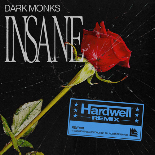 Dark Monks — Insane (Hardwell Remix) cover artwork