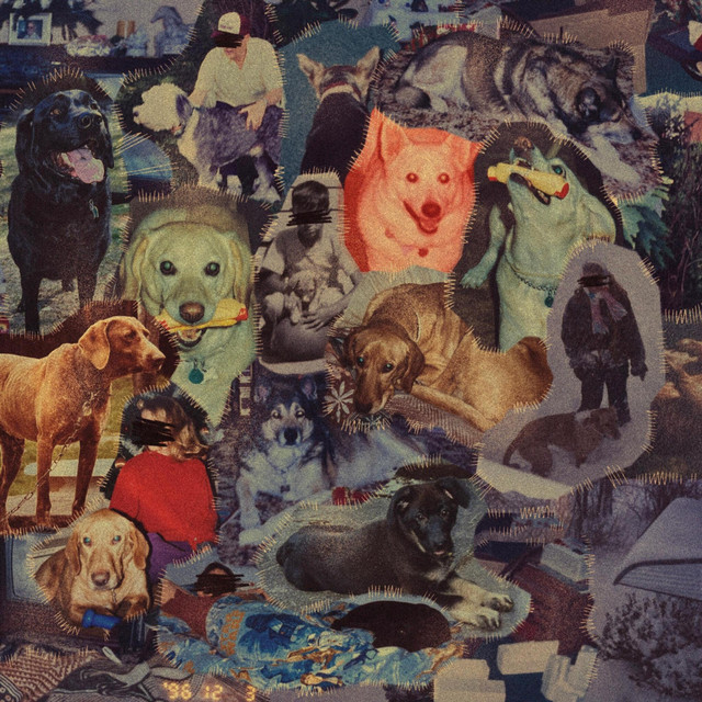The Dogs on Shepard Street — LIE WITH WOLVES cover artwork