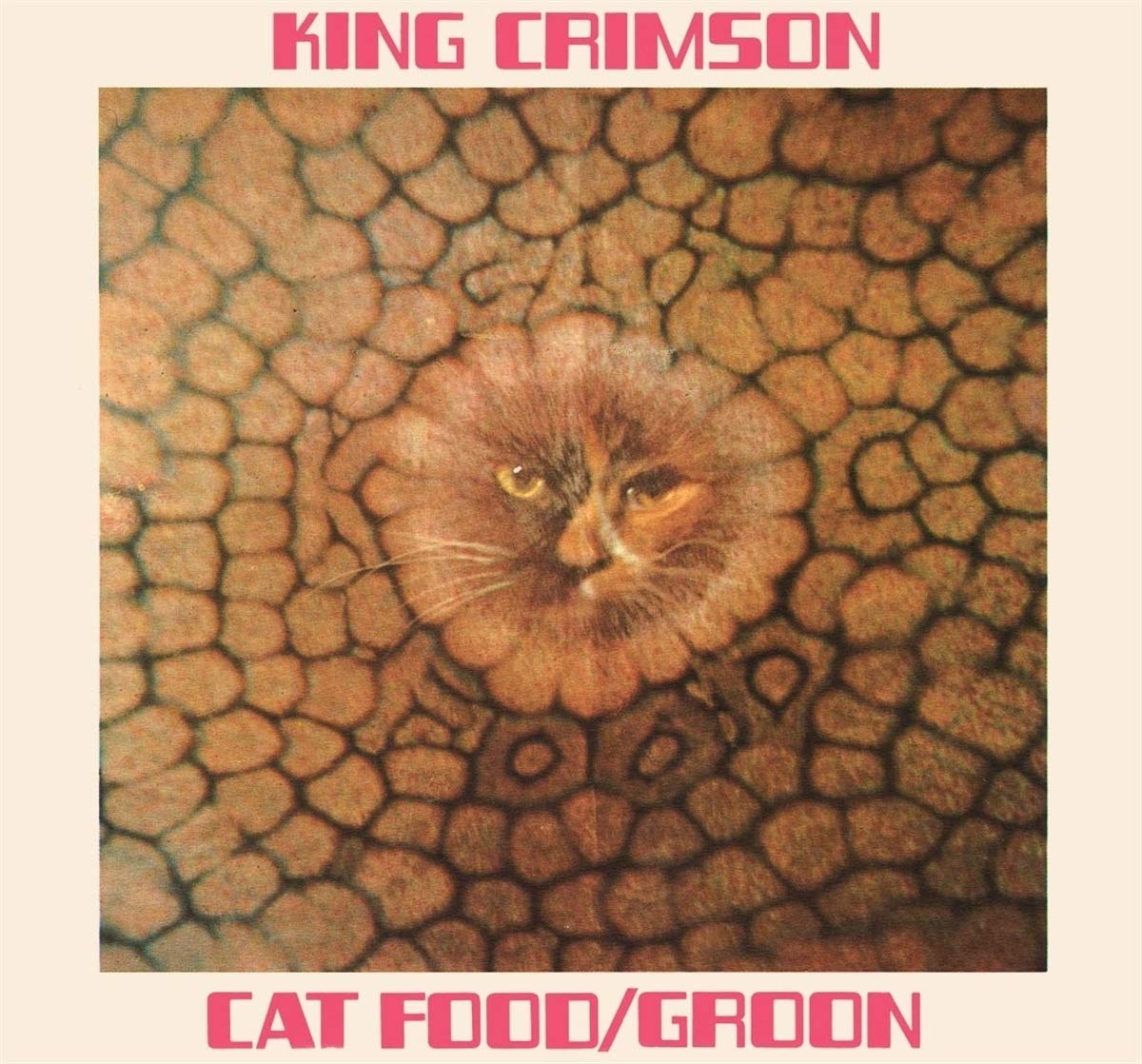 King Crimson Cat Food cover artwork