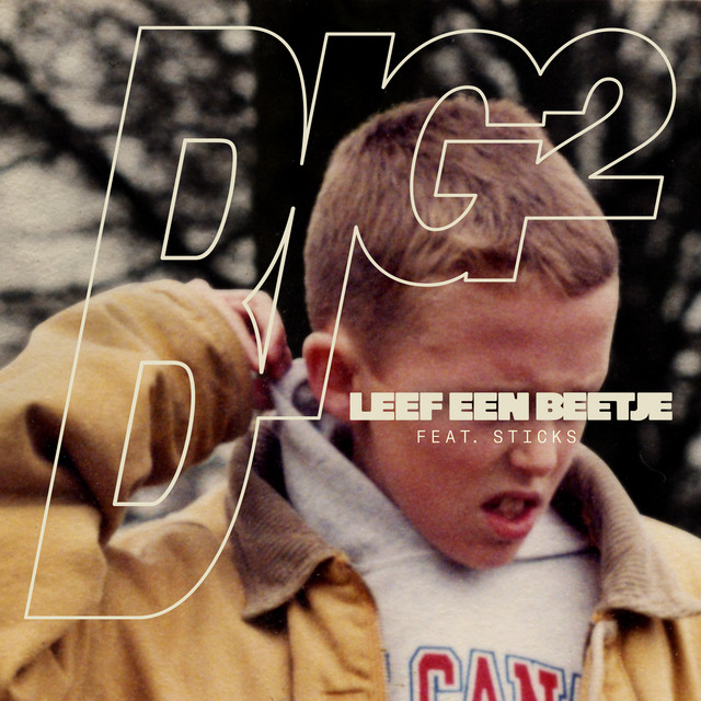 Big2 featuring Sticks — Leef Een Beetje cover artwork