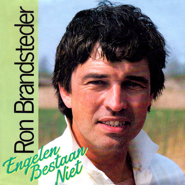 Ron Brandsteder — Engelen Bestaan Niet cover artwork