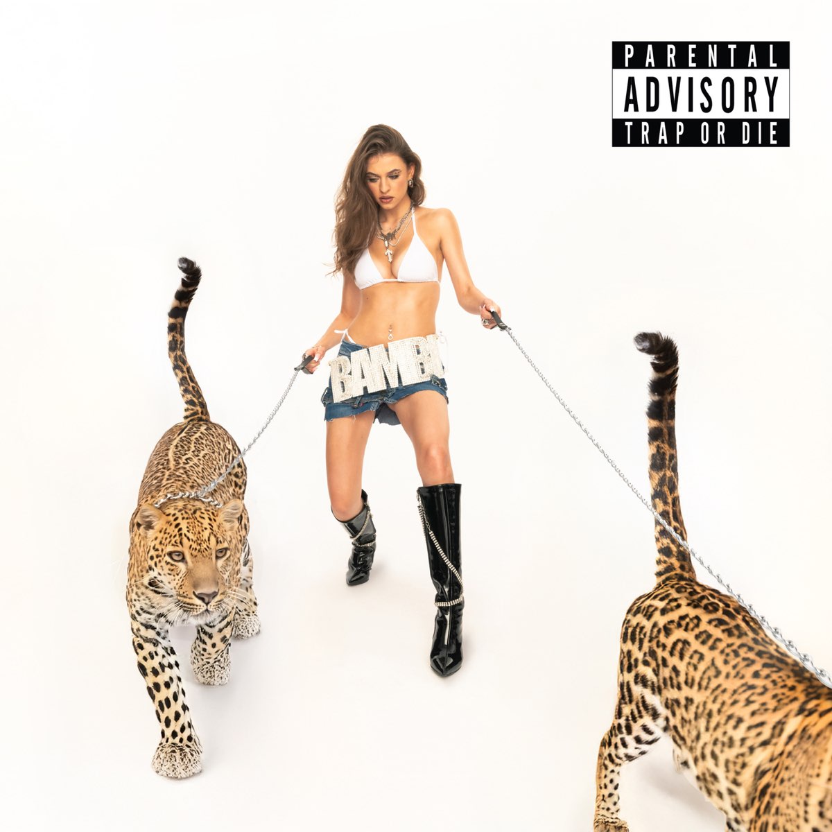 Bambi featuring Tede — DRIN ZA DRINEM 2 cover artwork