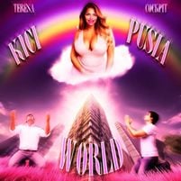 Teresa CockPit (AI) — Skibidi Na Mhmmm cover artwork