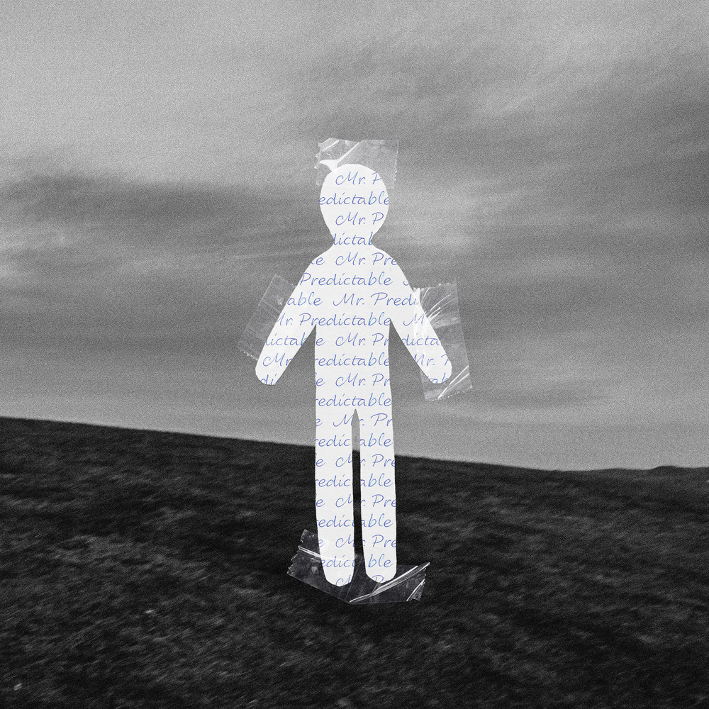 Avery Anna — Mr. Predictable cover artwork