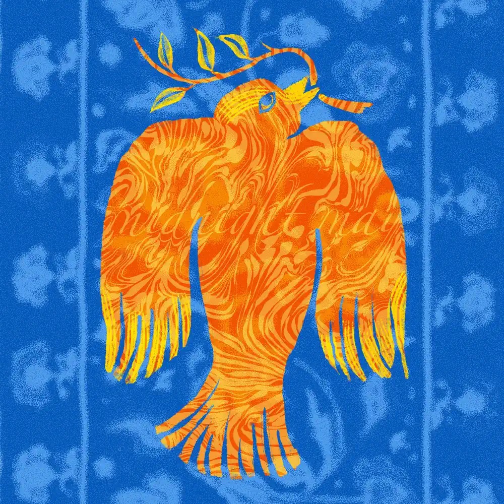 midnight may featuring Petrovochka & Rosenthal — For Ukraine/домівка cover artwork