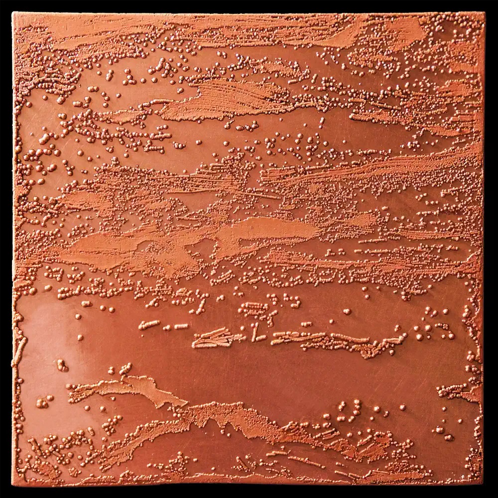 The Orchestra (For Now) — The Strip cover artwork