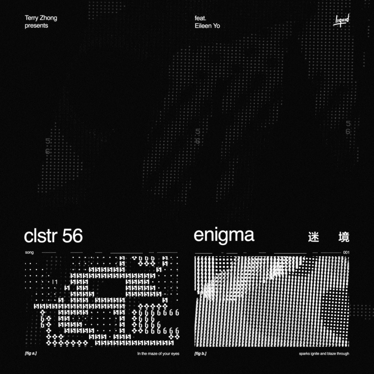CLSTR 56, Terry Zhong, & Eileen Yo游宇潼 — 迷境 Enigma cover artwork