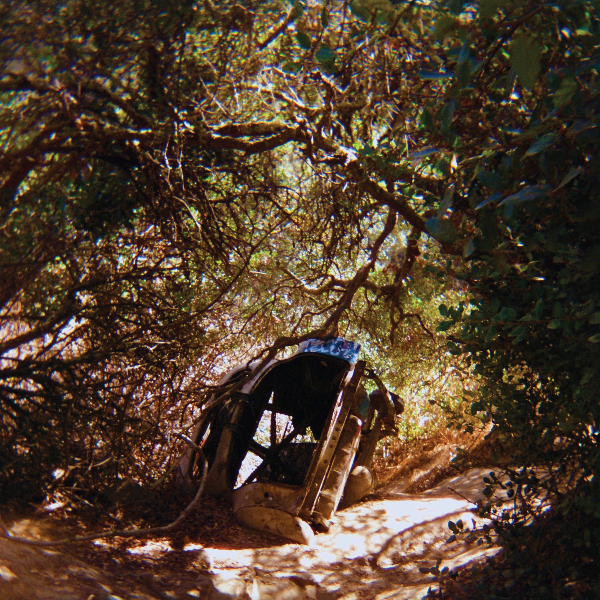 Ty Segall Possession cover artwork